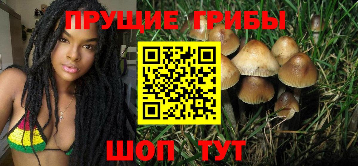 Галлюциногенные грибы прущие грибы Улан-Удэ